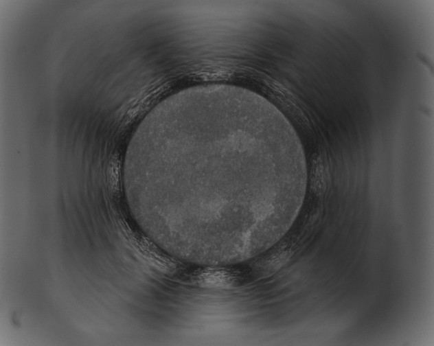 X0000100500604200807031942