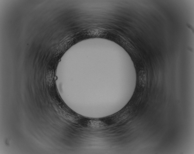 X0000100500605200807031942