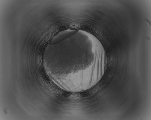 X0000100500606200807031942