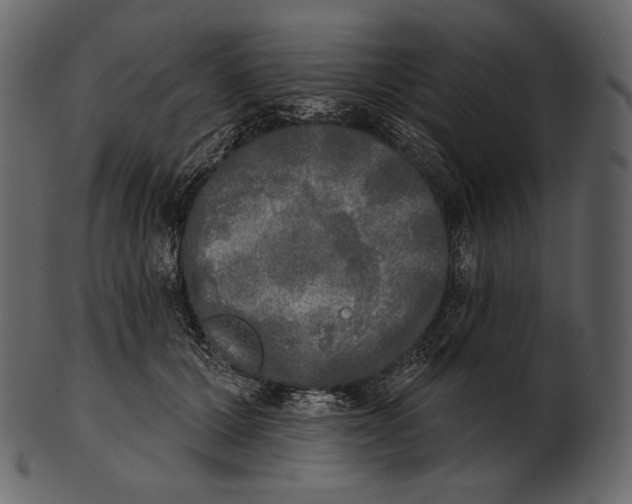 X0000100500607200807031942