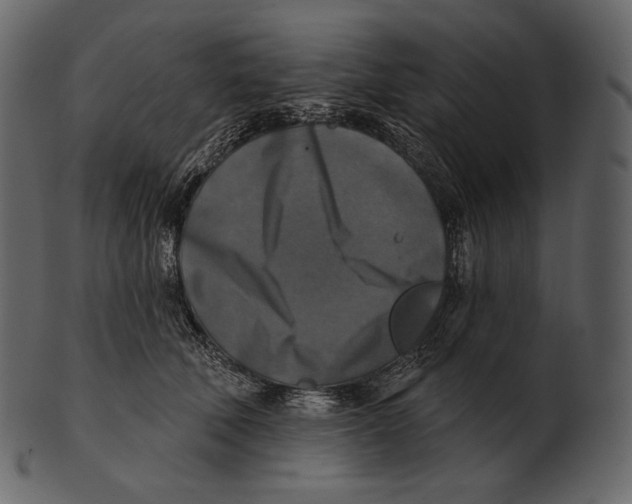 X0000100500610200807031942