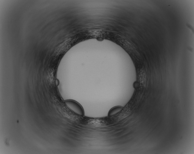 X0000100500611200807031942