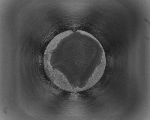 X0000100500612200807031942