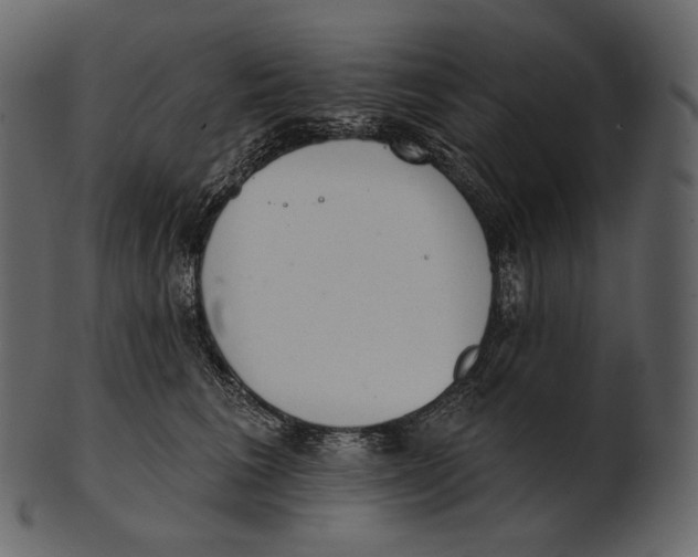 X0000100500613200807031942