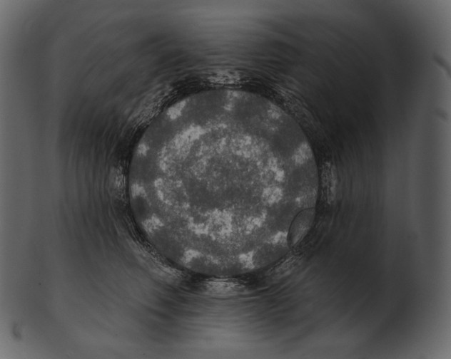 X0000100500614200807031942