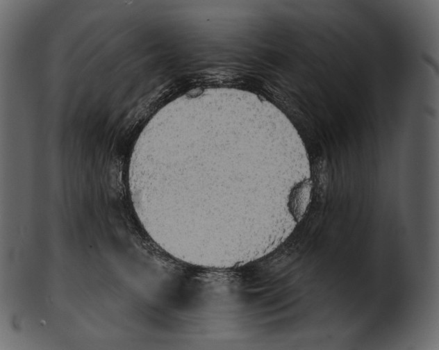 X0000100500615200807031942