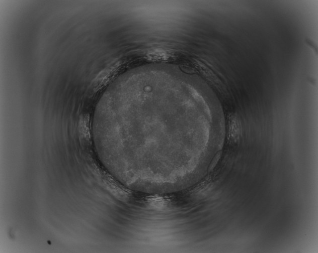 X0000100500616200807031942