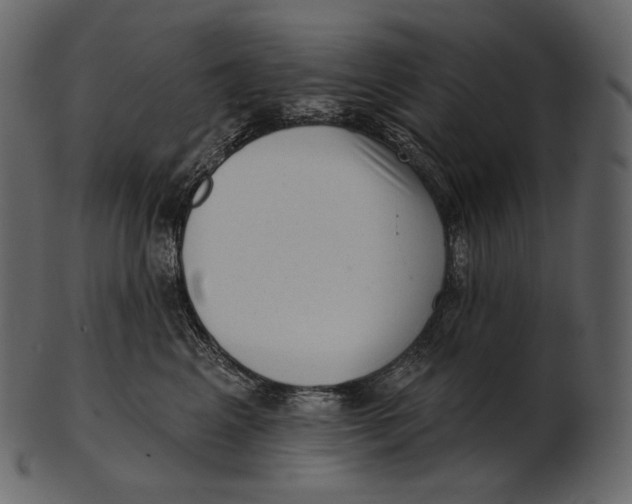 X0000100500617200807031942