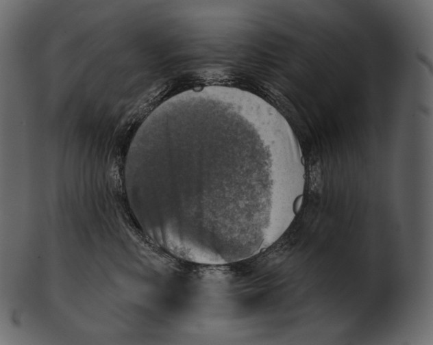 X0000100500618200807031942