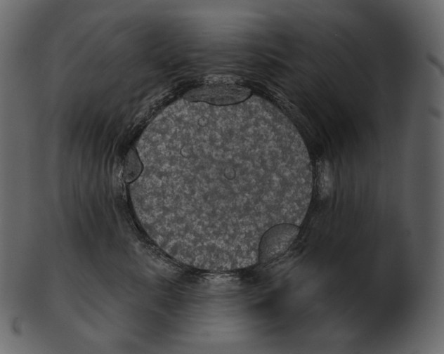 X0000100500619200807031942