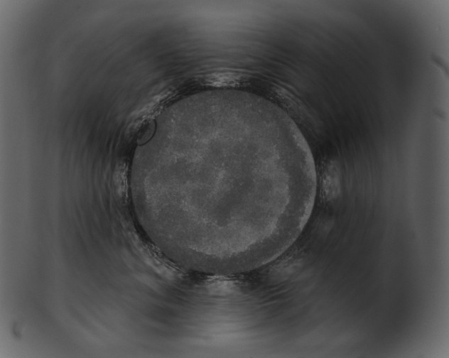 X0000100500620200807031942