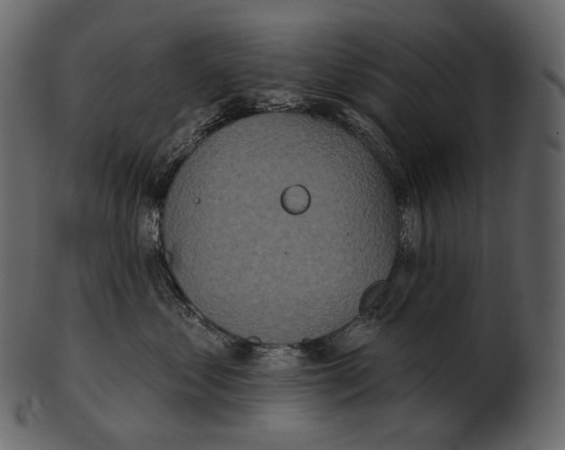 X0000100500621200807031942