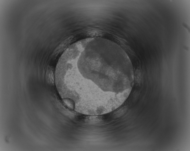 X0000100500622200807031942