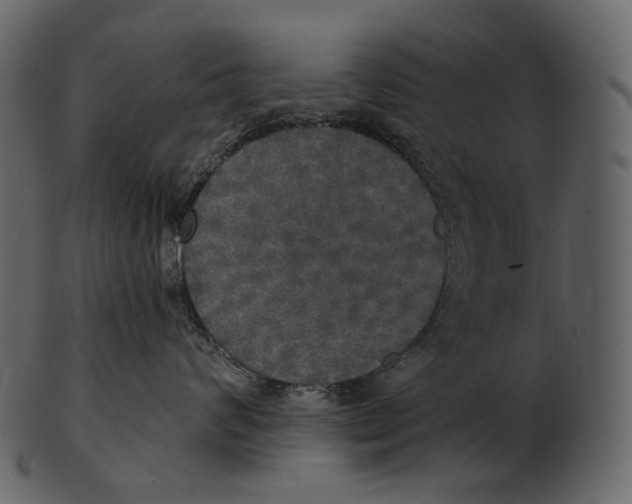 X0000100500624200807031942