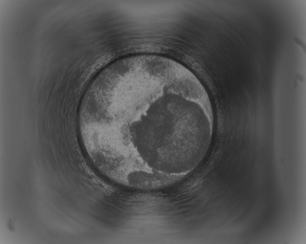 X0000100500625200807031941