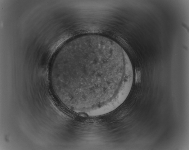 X0000100500627200807031941