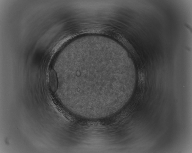 X0000100500628200807031941