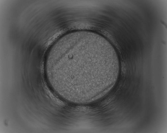 X0000100500629200807031941