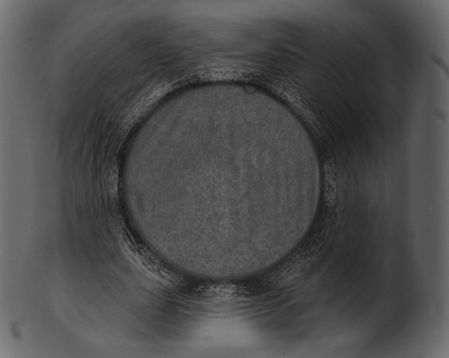 X0000100500631200807031941