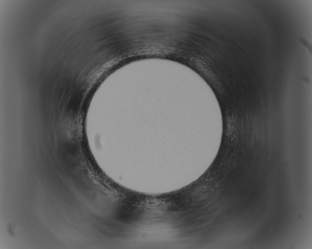 X0000100500632200807031941