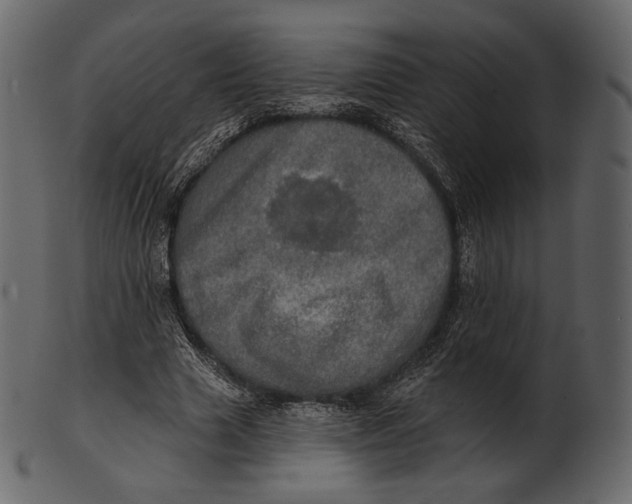 X0000100500633200807031941