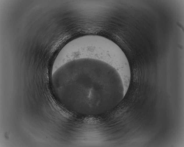 X0000100500634200807031941