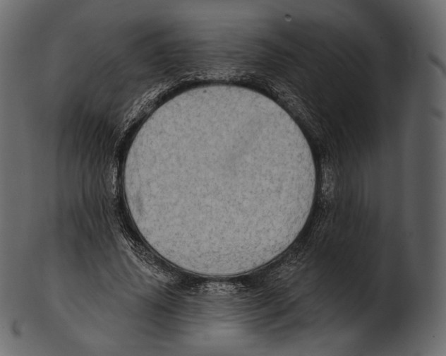 X0000100500636200807031941