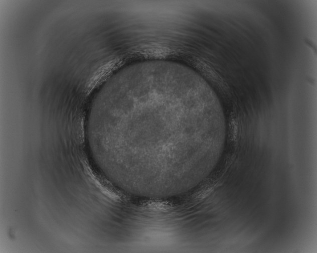 X0000100500638200807031942