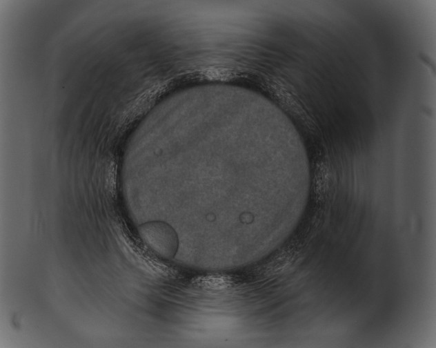 X0000100500639200807031942