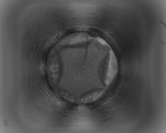 X0000100500641200807031942