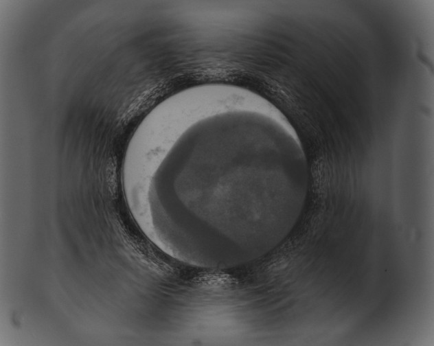 X0000100500642200807031942