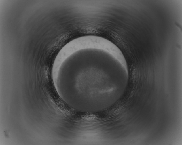 X0000100500643200807031942