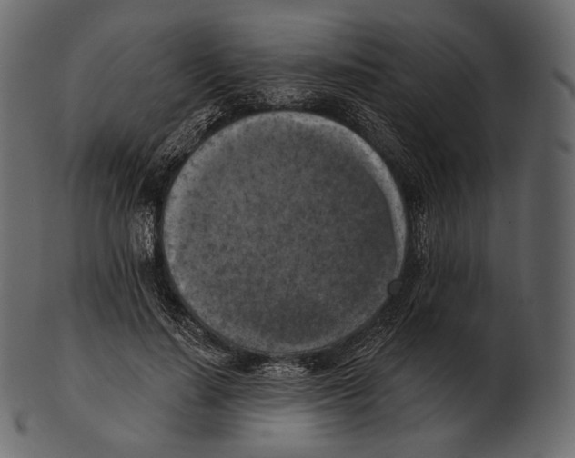 X0000100500644200807031942