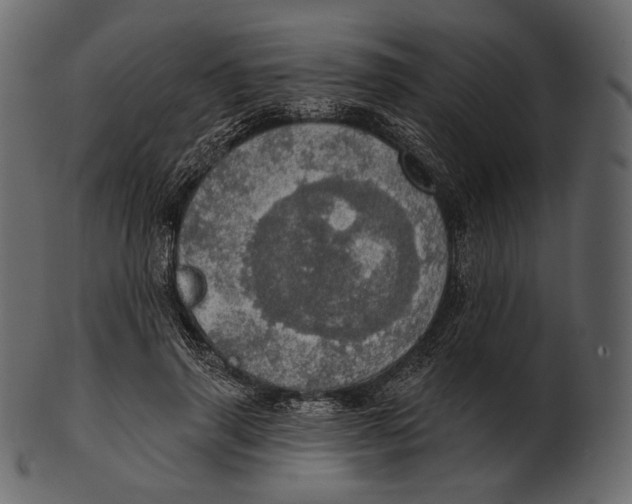 X0000100500645200807031942