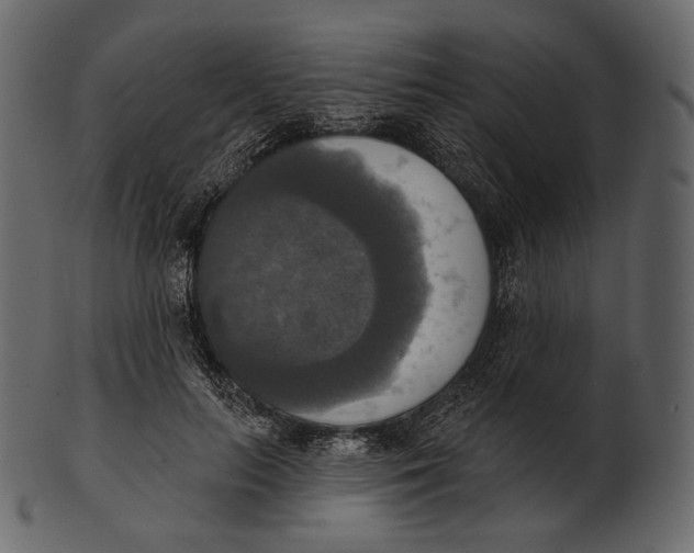 X0000100500647200807031942