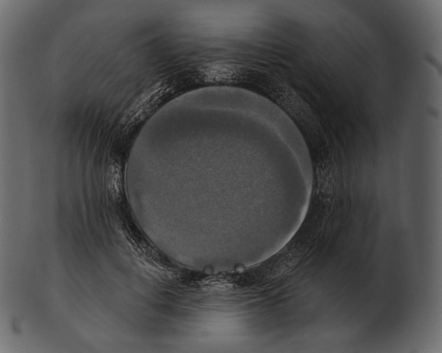 X0000100500648200807031942