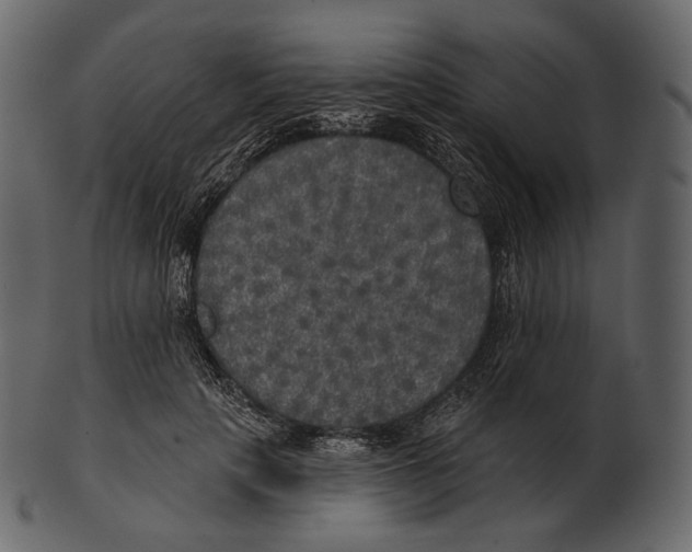 X0000100500649200807031942