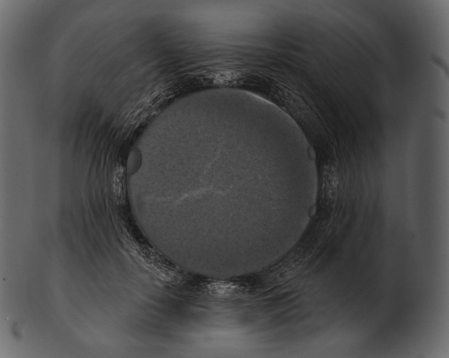 X0000100500650200807031942