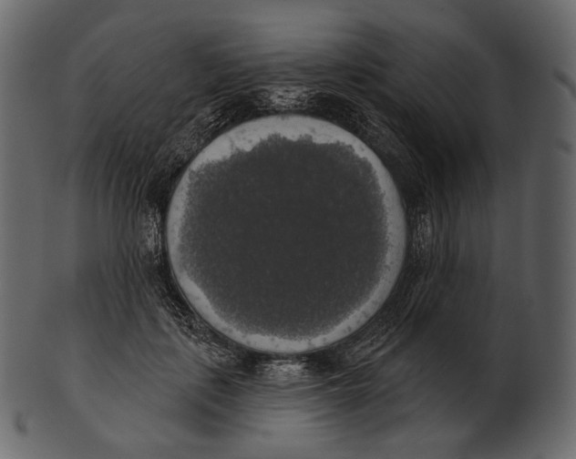 X0000100500651200807031942