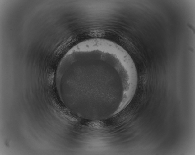 X0000100500652200807031942