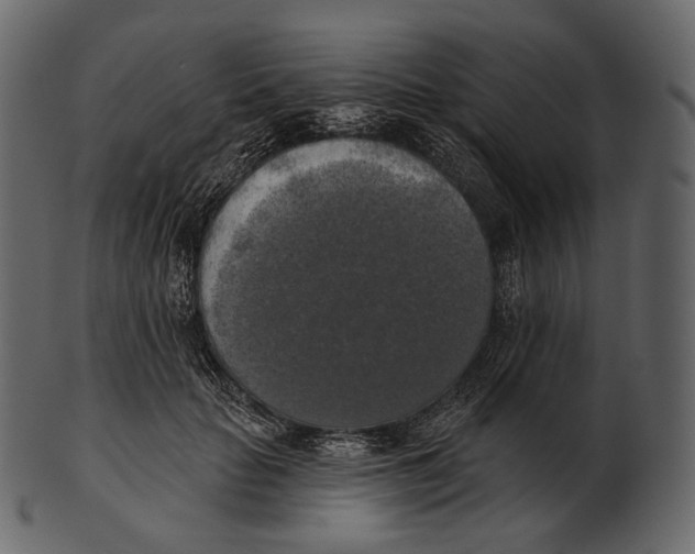 X0000100500653200807031942