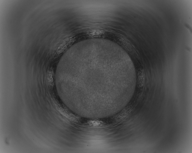 X0000100500654200807031942