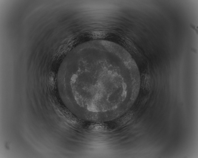 X0000100500655200807031942