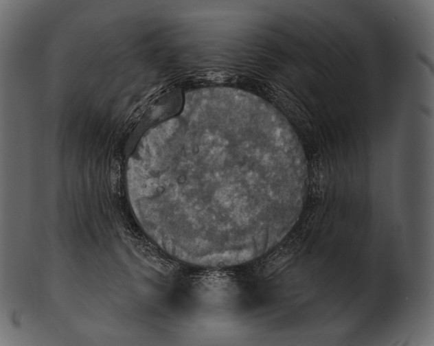 X0000100500656200807031942