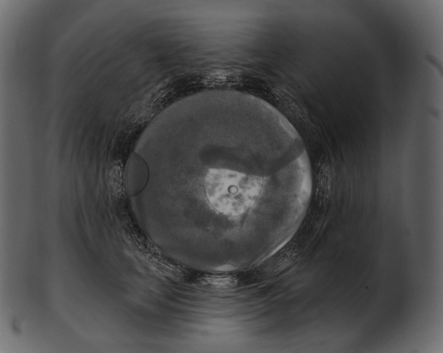 X0000100500659200807031942