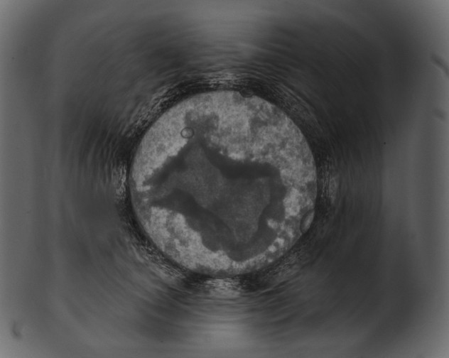 X0000100500660200807031942