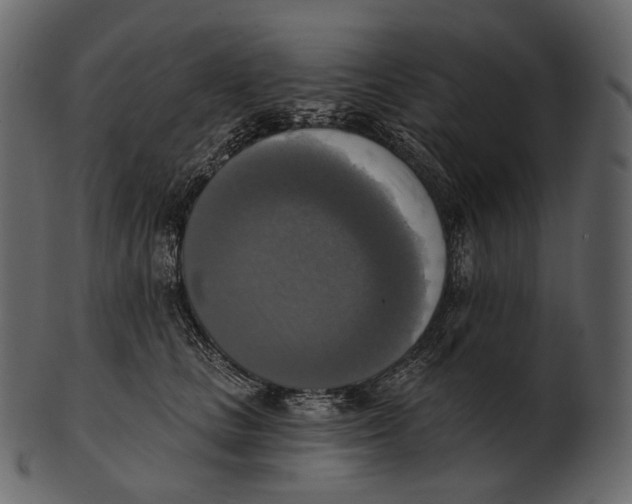 X0000100500661200807031942