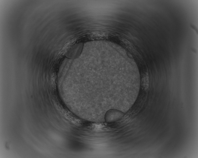 X0000100500662200807031942