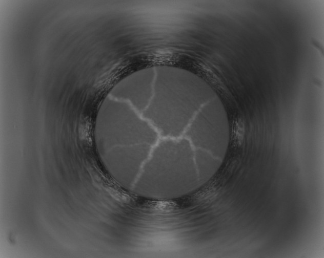 X0000100500663200807031942