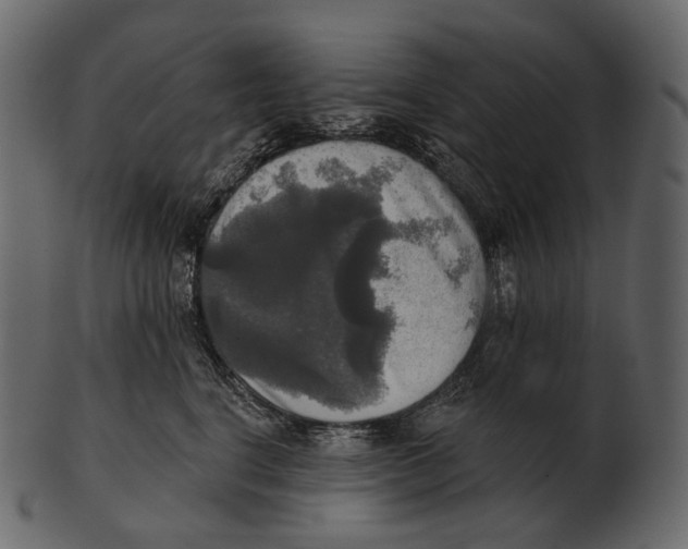 X0000100500664200807031942